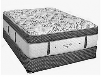 Can you tell me what mattress I bought 5 years ago, I want another one!