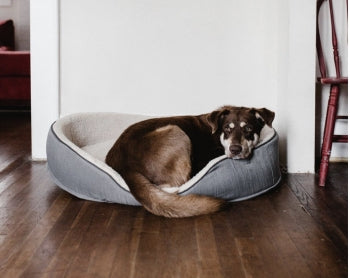 Can you make custom size (35" x 44") memory foam mattresses for my dog beds?