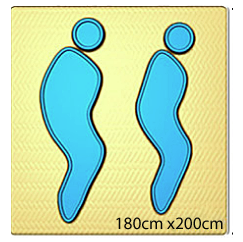 Who can ship a European King mattress to Trout Creek Ontario?