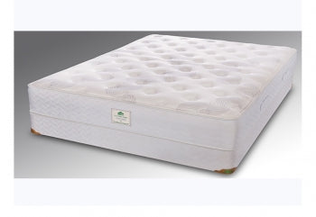 I need to order a European Queen size mattress (160cm by200cm) and I need it in four days!