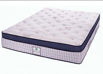 If you're looking for a bouncy mattress we have a few!